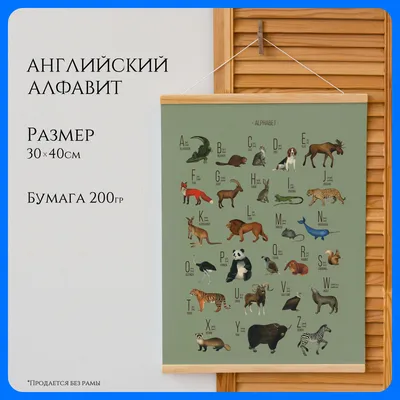 Коврик Pondo Алфавит для ванны на присосках детский 69x39 см в  интернет-магазине 