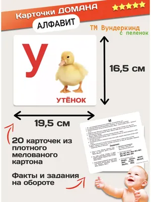 Постер Wallstory kids Птицы, Подводный мир купить по выгодной цене в  интернет-магазине OZON (565029222)