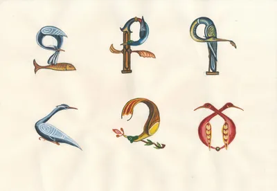 Буква q из алфавита с характером птицы кетцаль | Премиум векторы