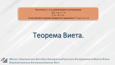 Комплект предметных тетрадей Be Smart 1326533 Feed us 48 листов 12 шт -  отзывы покупателей на маркетплейсе Мегамаркет | Артикул: 100030128921