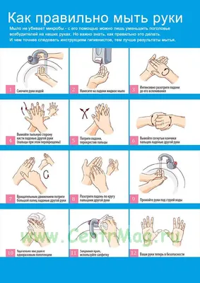 Плакат "Инструкция по мытью рук" - купить в интернет-магазине CentrMag по  лучшим ценам! (00-00006029)