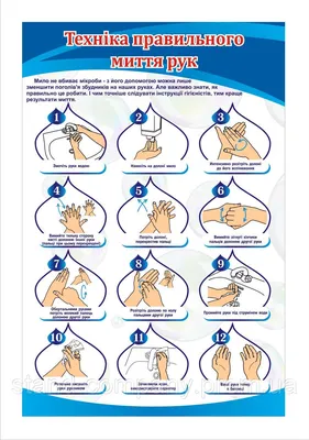 Стенд "Техника правильного мытья рук": продажа, цена в Харькове. Готовые  информационные таблички и вывески от "Стенд-компані" - 669572906