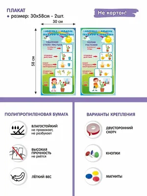 Консультация для воспитателей «Формирование алгоритмических умений у детей  дошкольного возраста» - презентация онлайн