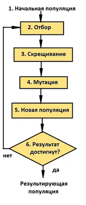 В чем разница между знанием алгоритмов и знанием программирования. |  Робототехника | Дзен