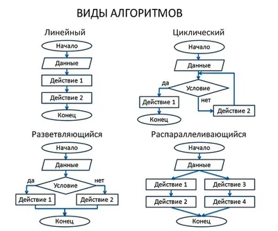 Алгоритмы: что это такое, для чего нужны, какие бывают и как с ними  работать / Skillbox Media