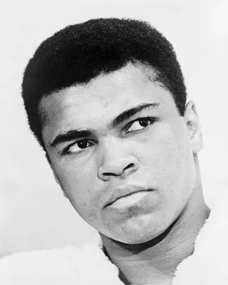 Ali - Wikipedia