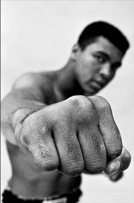 Muhammad Ali Dies at 74: Titan of Boxing and the 20th Century - The New  York Times