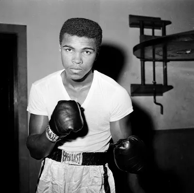 Muhammad Ali Posing on the Ropes | Neil Leifer Photography