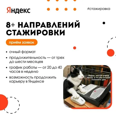 Научилась дирижировать всеми Станциями сразу. Скажите: «Алиса, включи  музыку везде» — колонки заиграют одновременно. Если захотите… | Instagram