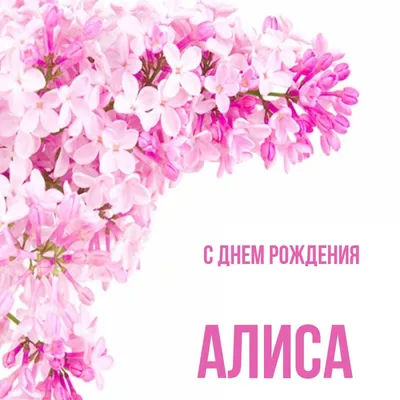 У Алисы день рождения:) — 