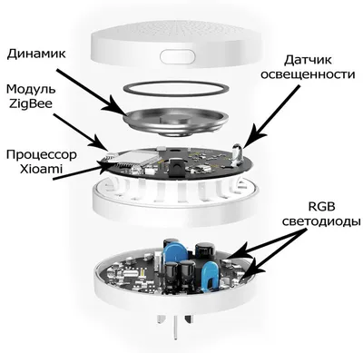 Алиса, может ты мне жену заменишь? Как умные гаджеты помогают вести  хозяйство и воспитывать детей? | Дочкин папа | Дзен