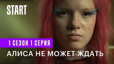 Шотландка Алиса) Декоративная роспись по фото питомца | Пикабу