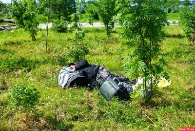 Прикольные картинки про алкашей (50 фото) » Юмор, позитив и много смешных  картинок