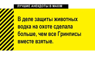 Шутки и мемы про алкоголь после прошедших выходных (29 фото) | Екабу.ру -  развлекательный портал