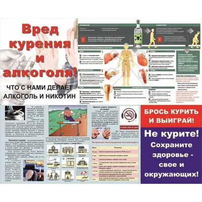 Чрезмерное употребление алкоголя - вердикт вашему здоровью! | Пикабу