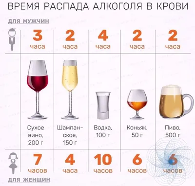 Алкоголь-зло! — 11 ответов | форум Babyblog