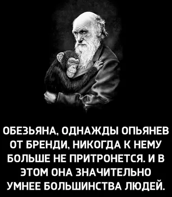 Алкоголь это яд и великое зло, разрушающее семьи, жизни, ... | ОБО ВСЕМ |  Фотострана | Пост №2645508636