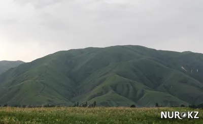 Құдайдың белгісі": Рамазанда аспандағы "Алла" жазуы тұрғындарды таңырқатты ( фото)