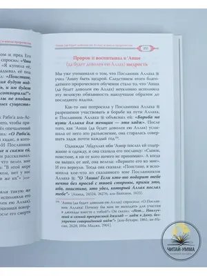 Книга Аиша, мать верующих, жена Пророка / жизнеописание ЧИТАЙ-УММА 88941405  купить за 1 156 ₽ в интернет-магазине Wildberries