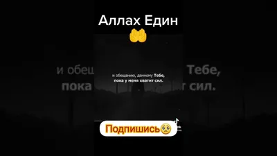 Мы должны быть глубоко убеждены в том, что Всевышний Аллах существует. Аллах  один, и нет для Него сотоварищей. Аллах… | Забавные фото, Священные  писания, Забавности