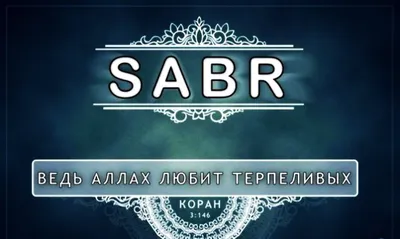 Amir Abu Abdurrohman on Instagram: "КОГО ЛЮБИТ АЛЛАХ, СОГЛАСНО КОРАНУ: Аллах  любит творящих добро. (2:195) Аллах любит осмотрительных! () Аллах  любит терпеливых! (3:146) Аллах любит добродеющих! () Аллах любит  справедливых! () Аллах