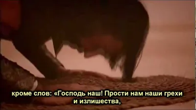  - Аллаh любит творящих добро. (2:195)🌸 Аллаh любит  осмотрительных! ()🌸 Аллаh любит терпеливых! (3:146)🌸 Аллаh любит  добродеющих! ()🌸 Аллаh любит справедливых! ()🌸 Аллаh любит  беспристрастных! (49:9 ...