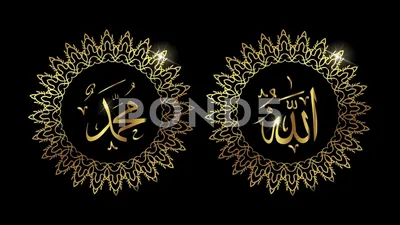 CapCut #allah #muhammad ❤️❤️❤️❤️#LiveWallpapers | TikTok