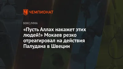 «Пусть Аллах накажет этих людей!» Мокаев резко отреагировал на действия  Палудана в Швеции - Чемпионат