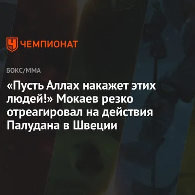 Пусть Аллах накажет этих людей!» Мокаев резко отреагировал на действия  Палудана в Швеции - Чемпионат