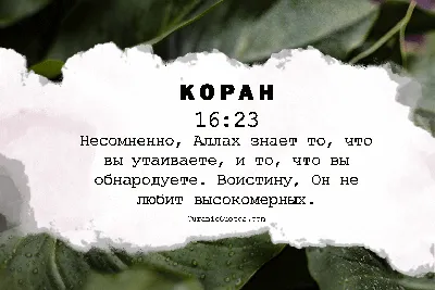 Аллах накажет картинки