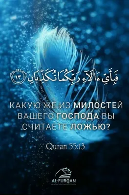 Довольство Аллаха — в довольстве родителей, а гнев Аллаха — в гневе  родителей». [Передал ат-Тирмизи] . В этом хадисе сообщается о том, что… |  Instagram