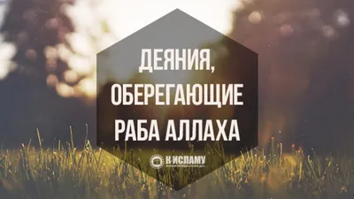 Исламские открытки | 