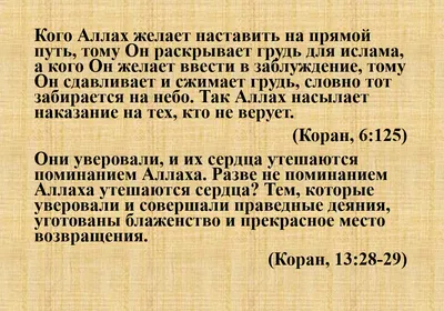 Иду я сегодня после учёбы домой ,спереди шли два мальчика, маленькие такие  ,наверное с первого класса ..проходя мимо ...улови… | Класс, Маленькие  мальчики, Мальчики