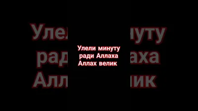 Аллах велик | Пикабу