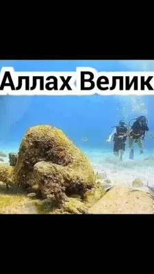 удели минуту ради Аллаха Аллах велик аминь коран аллахуакбар рекомендации  сура аллахвелик