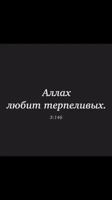 Аллах велик: истории из жизни, советы, новости, юмор и картинки — Все посты  | Пикабу