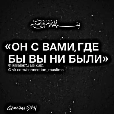 Воистину, Аллах знает сокровенное небес и земли. Аллах видит то, что вы  совершаете". Коран (49 Сура: Аль-… | Сильные цитаты, Мусульманские цитаты,  Правдивые цитаты