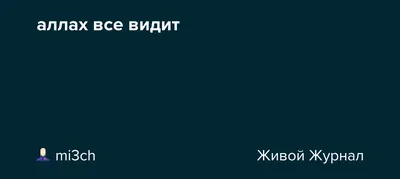 Солнце село, Аллах не видит... | Пикабу