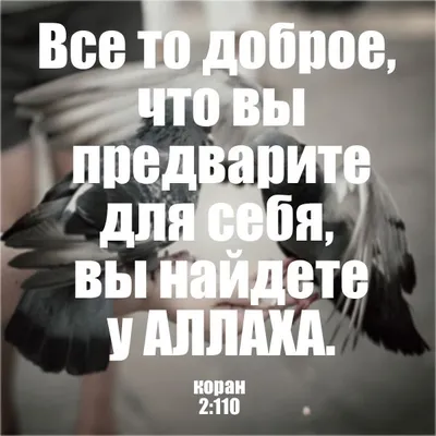 Совершайте намаз и выплачивайте закят. Все то доброе, что вы предварите для  себя, вы найдете у Аллаха. Воистину, Аллах видит … | Коран, Цитаты,  Мусульманские цитаты