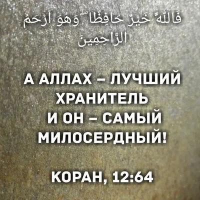 Бесплатные стоковые фото на тему аллах, в помещении, вера, взрослый, виз,  женщина, ид мубарак, индия, ислам, исламский, книга, книжная серия, коран,  литература, любовь, молитва, молиться, мусульманин, одежда, поклонение,  путешествовать, рамадан, рамзан ...