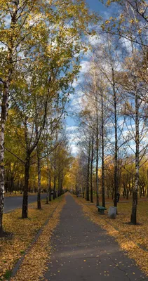 Книга Темные аллеи: рассказы - купить в Астарта, цена на Мегамаркет