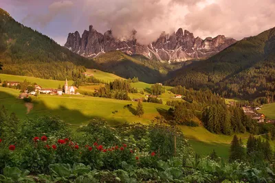 Швейцарские Альпы 🦉🇨🇭 Швейцария Деловая