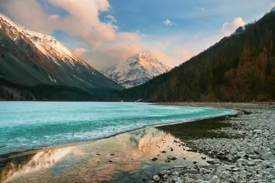 Лучший отель Горного Алтая 5 звезд - Altay Village Teletskoe