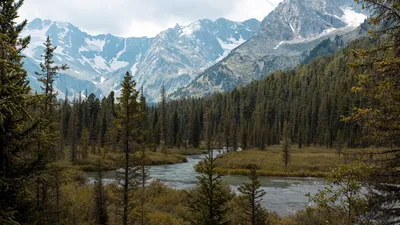 Главные курорты Алтая для отдыха летом и зимой | 