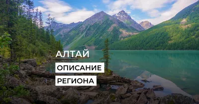 Как добраться до Горно-Алтайска на поезде или самолетом, что посмотреть в  регионе и где остановиться — Яндекс Путешествия