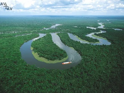 Амазонка | Экваториал