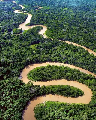 Река Амазонка, интересные факты и расположение: подборка, фото |  Туристический портал VipGeo | Дзен
