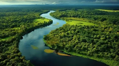 Река Амазонка - самая длинная река в мире - Удивительный мир