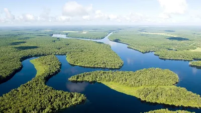 Река Амазонка - самая длинная река в мире - Удивительный мир