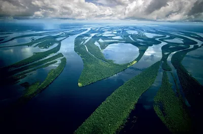 Река Амазонка В Сезон Дождей В Бразилии. Фотография, картинки, изображения  и сток-фотография без роялти. Image 26580007